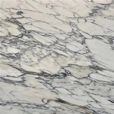 Calacatta Viola Biała Spiekana